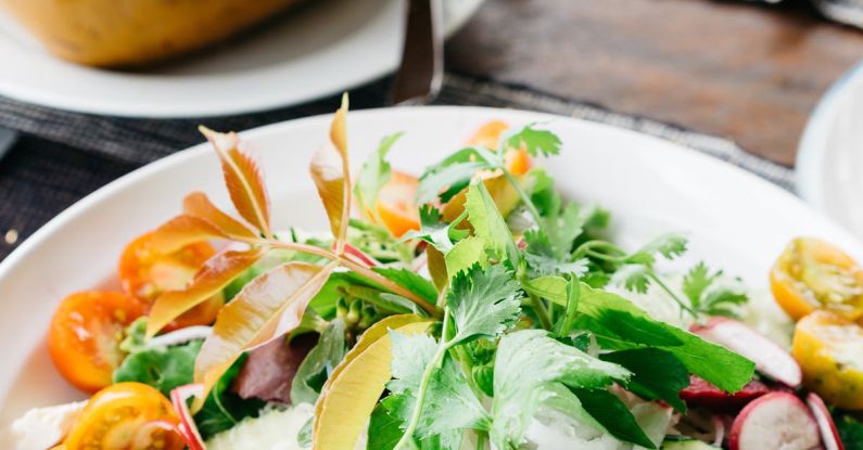 Balanced Diet - Vegetable Salad on White Plate