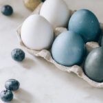 DIY Solutions - Blue And White Eggs In A Carton